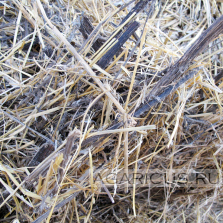 To make high quality compost from this straw is a challenge for good technologist