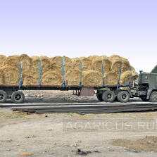 Straw rolls transporting