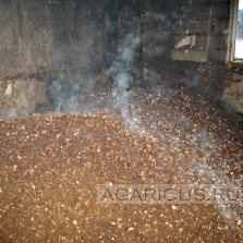 Chicken litter with a moisture content suitable for composting use without preparation
