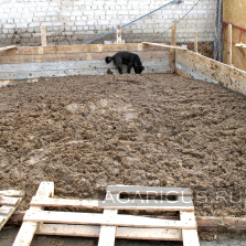 Chicken litter, which requires preparation before being used for compost bookmarks